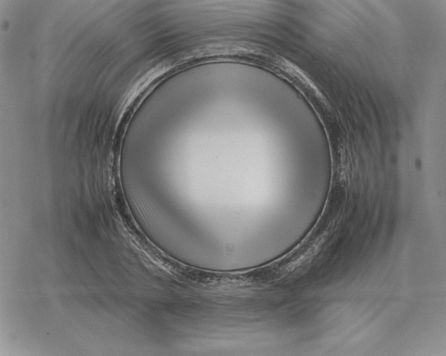 X0000077340786200611171831