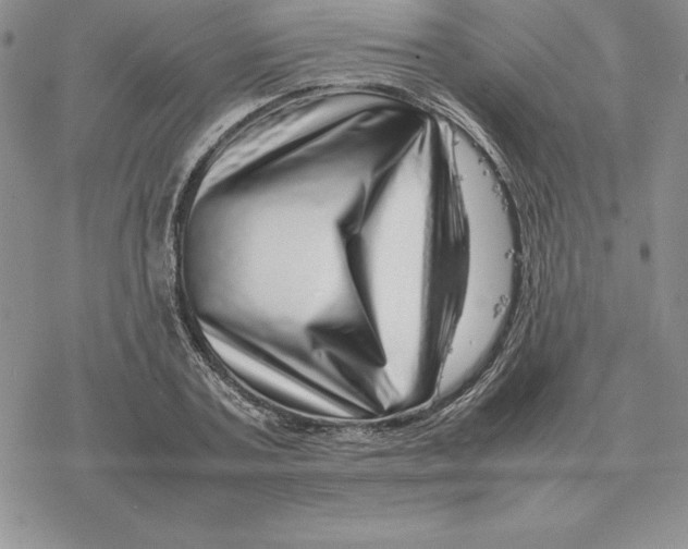 X0000077340787200611171831