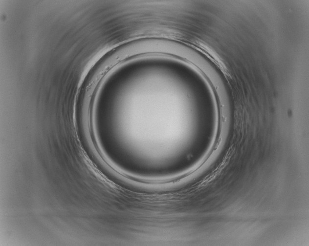 X0000077340788200611171831