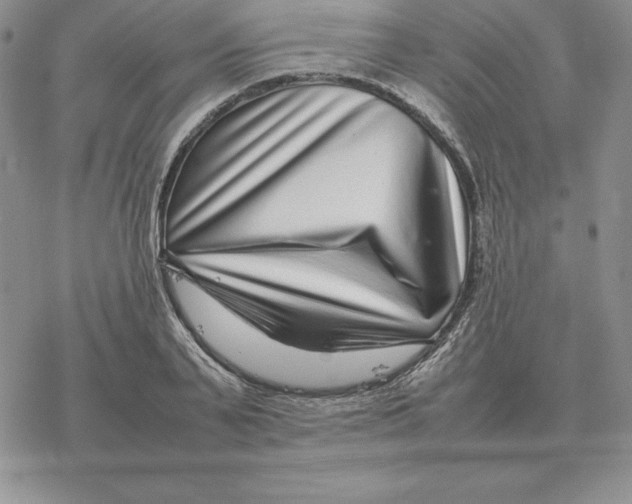 X0000077340791200611171831