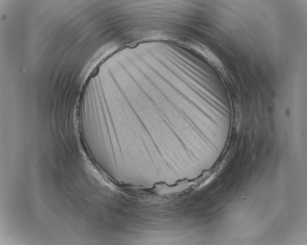 X0000077340806200611171831
