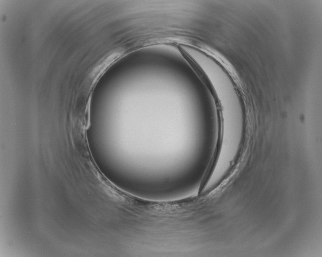 X0000077340809200611171831