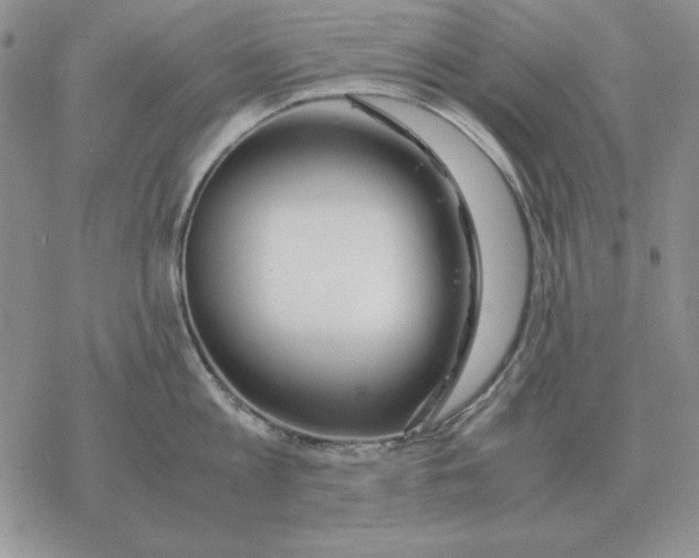 X0000077340813200611171831