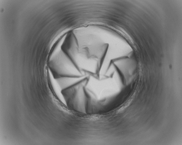 X0000077340814200611171831