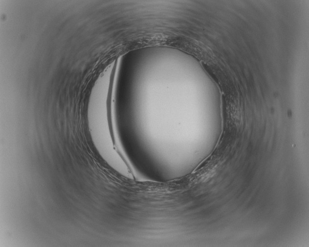 X0000077340818200611171830