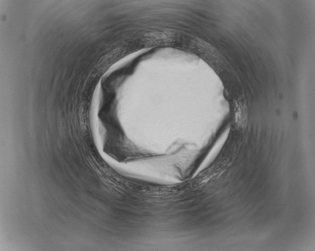 X0000077340819200611171830