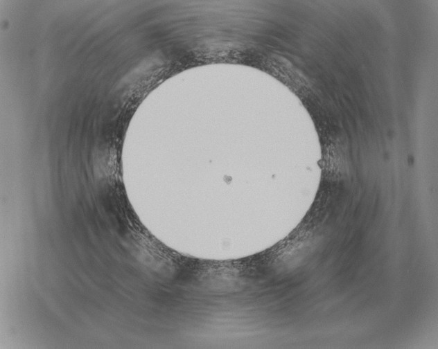 X0000077340820200611171830