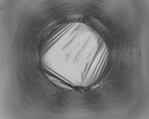 X0000077340821200611171830