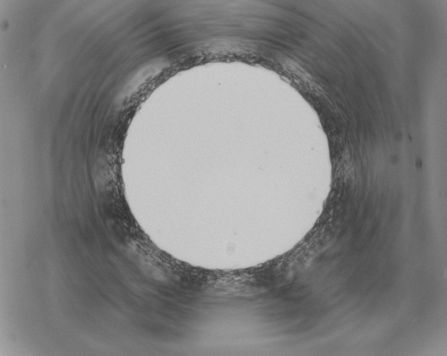 X0000077340824200611171830