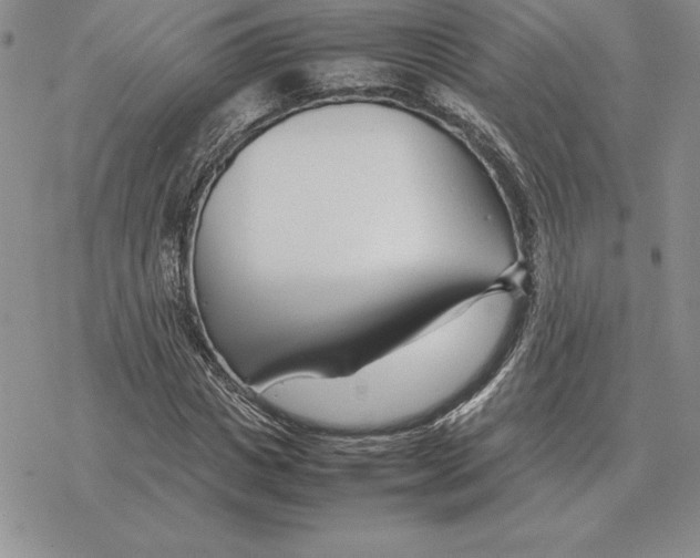 X0000077340825200611171830