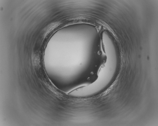 X0000077340826200611171830