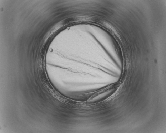 X0000077340827200611171830
