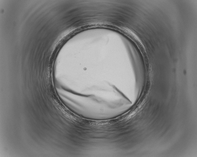 X0000077340831200611171830