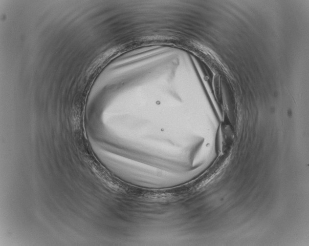 X0000077340833200611171830