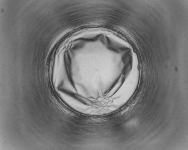 X0000077340835200611171830