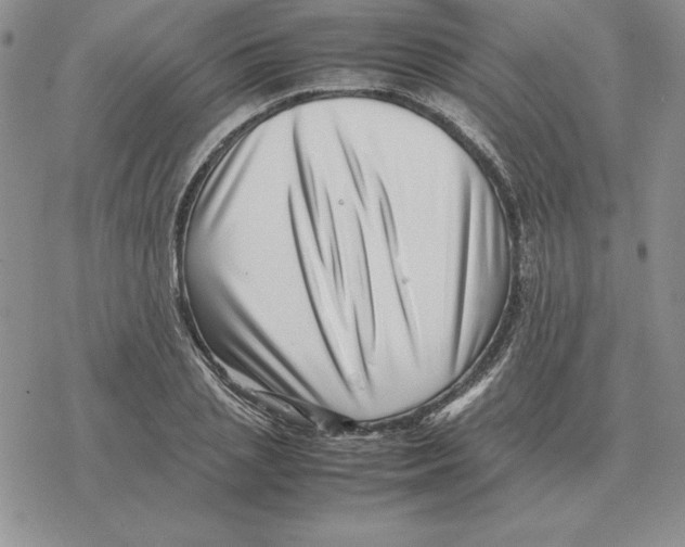 X0000077340837200611171830