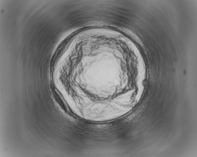 X0000077340839200611171830