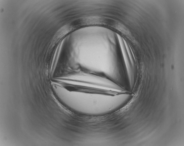 X0000077340841200611171830