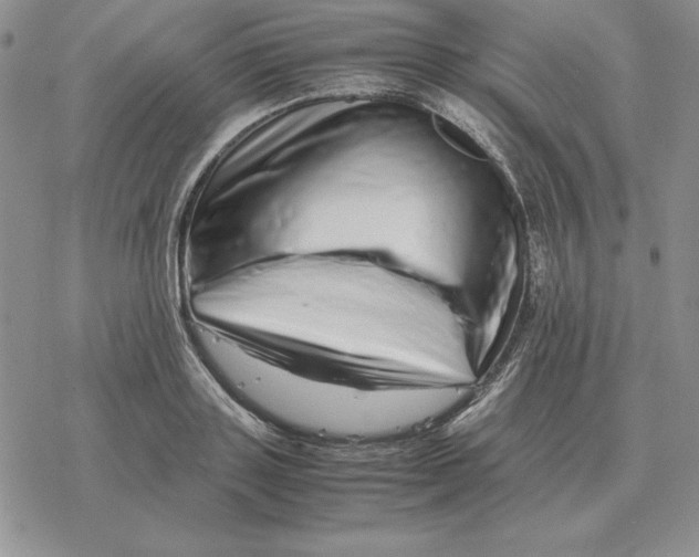 X0000077340843200611171830