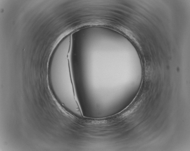 X0000077340845200611171830