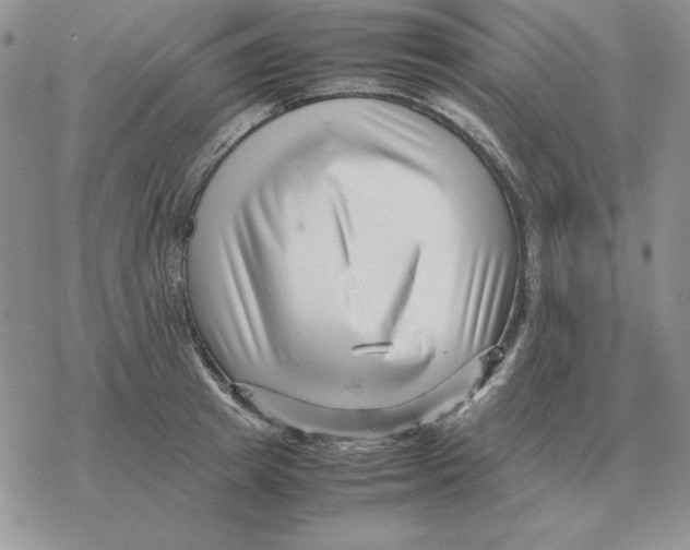 X0000077340849200611171831