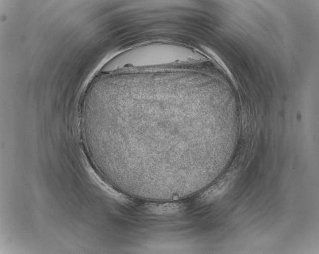 X0000077340851200611171831