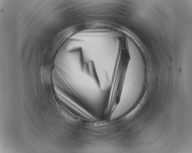 X0000077340857200611171831