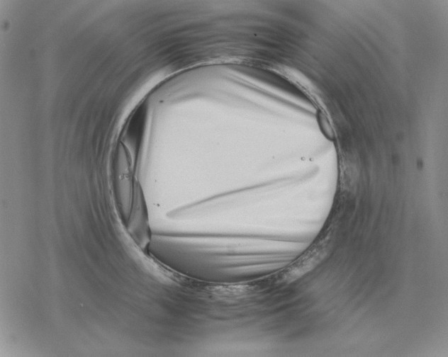 X0000077340859200611171831