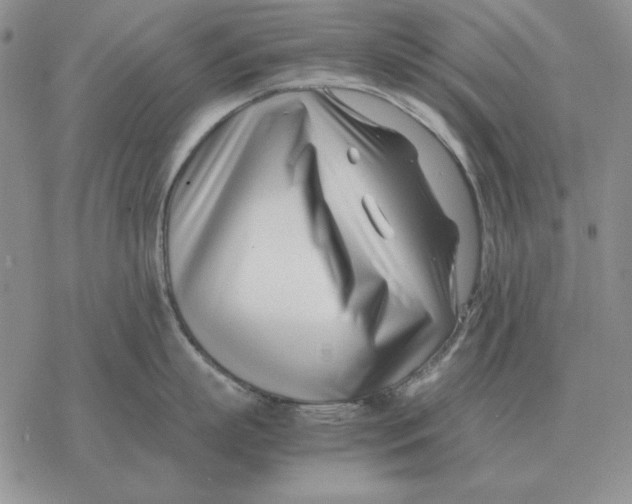 X0000077340863200611171831