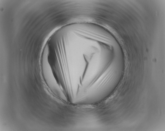 X0000077340864200611171831