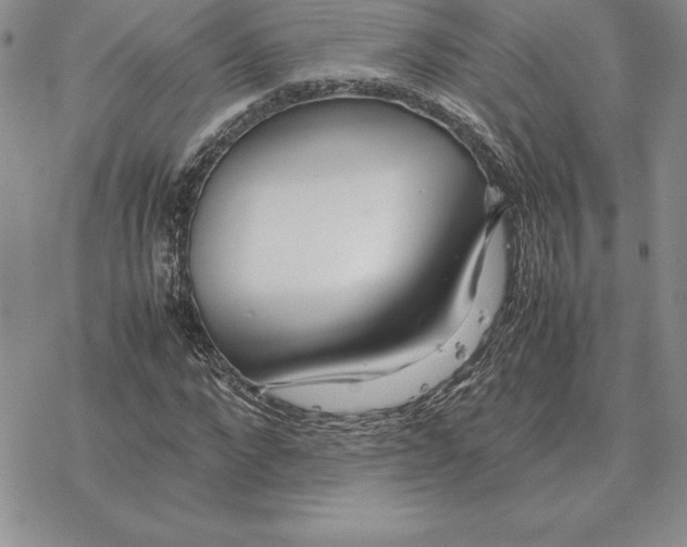 X0000077340872200611171830