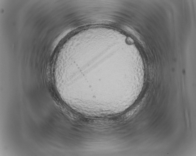 X0000077340875200611171830
