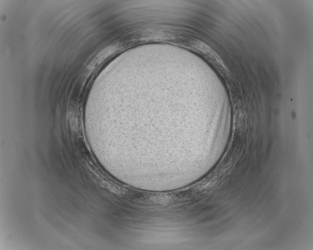 X0000077340882200611171830