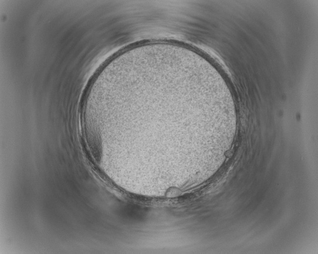 X0000077340887200611171830
