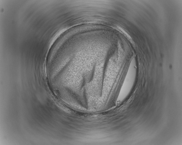 X0000077340891200611171830