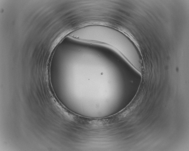 X0000077340898200611171829