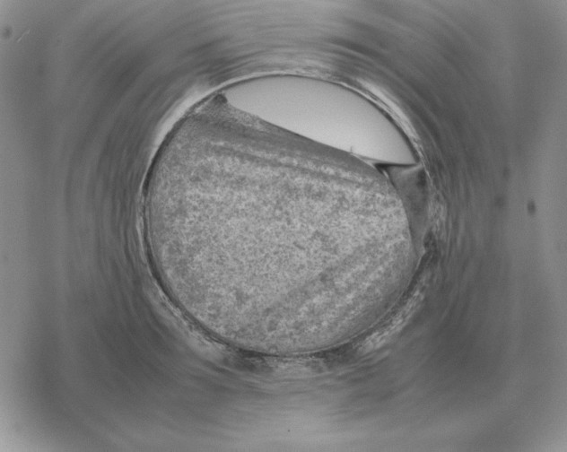 X0000077340899200611171829