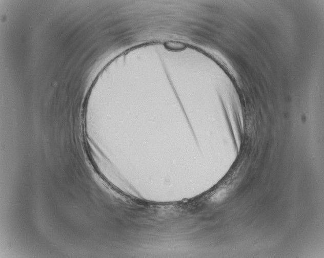X0000077340903200611171829