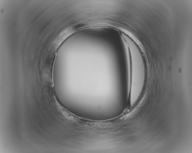 X0000077340905200611171829