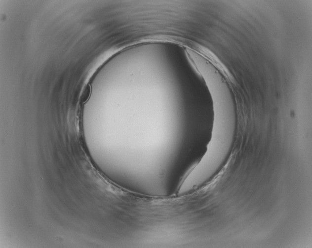 X0000077340908200611171829