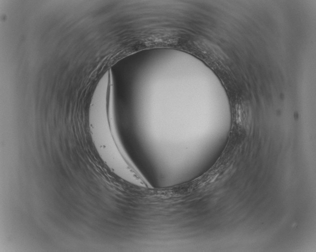 X0000077340915200611171828