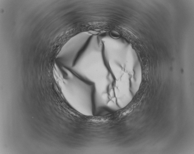 X0000077340917200611171828