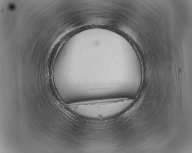 X0000077340923200611171829