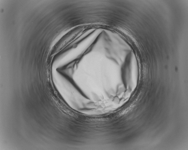X0000077340925200611171829
