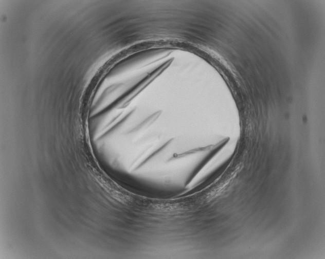 X0000077340927200611171829