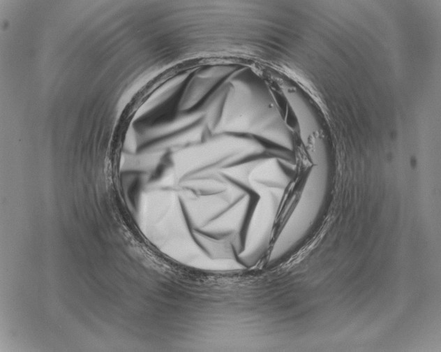 X0000077340928200611171829