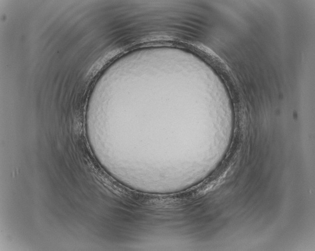 X0000077340929200611171829