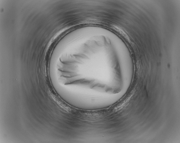 X0000077340931200611171829