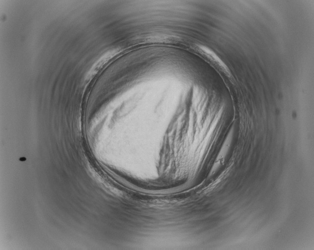 X0000077340938200611171829