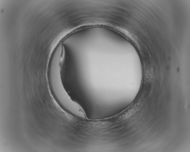 X0000077340943200611171829
